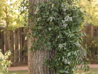 Flower Garland