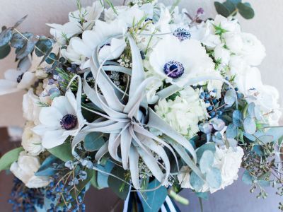 White Bridal Bouquet Air Plant